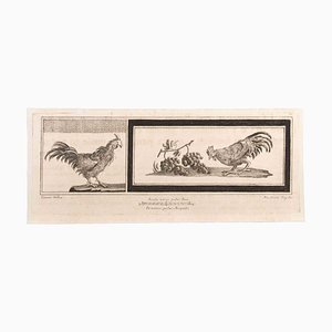 Niccolò Vanni, Decorazione con animali, Acquaforte, XVIII secolo