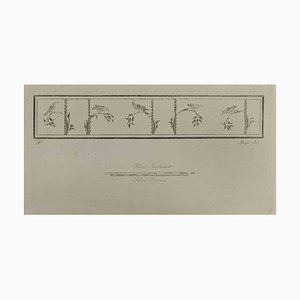 Luigi Aloja, Sparrows on Boughs, Roman Fresco, Etching, 18th Century