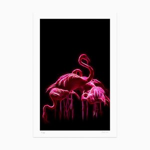 Dadodu, Flamingos, Giclée Print, 2019