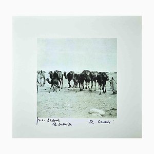 Bettino Craxi, Camellos tunecinos, Fotolitografía, años 90