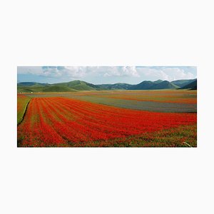 Giuseppe Marani, Red Stripes, Fotografia, 2010