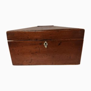 Antique Regency Style Tea Caddy in Oak