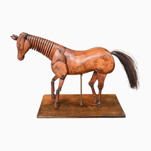 Modelo de dibujo anatómico de un caballo