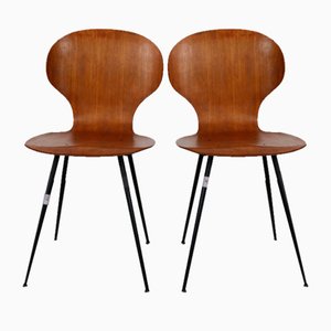 Set of Bentwood Chairs by Carlo Ratti, Italy, 1950s