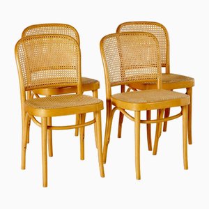 811 Stühle von Josef Hoffmann für Thonet, 1950er, 4er Set