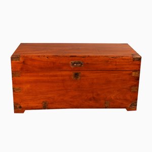Large Campaign Chest in Camphor Wood, 19th Century