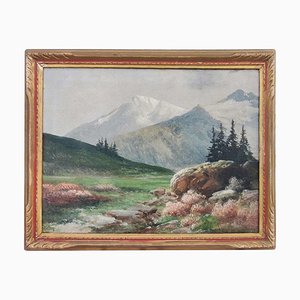 Henry Marko, Alpine View, 1890s, Huile sur Toile, Encadrée