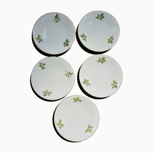 Assiettes Vintage par Théodore Haviland, Set de 10