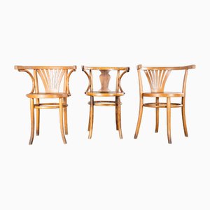 Blonde Esszimmerstühle aus Bugholz, Debrecen zugeschrieben, 1950er, 3er Set