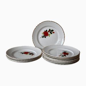 Assiettes Bohemian de Moulin Des Loups Orchies, 1950s, Set de 12