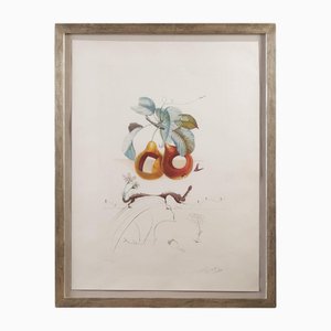 Salvador Dali, Fruits Troues, 1960s, Lithograph