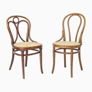 Antike Stühle von Thonet, 2er Set