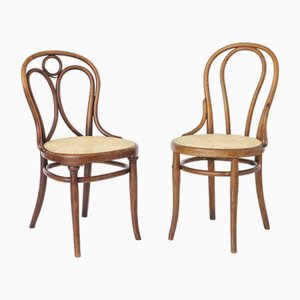 Antique Chairs from Thonet, Set of 2