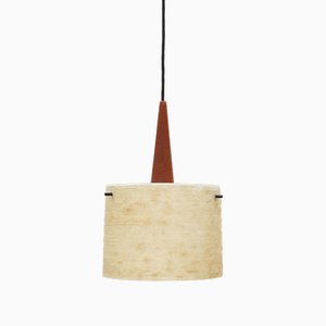 Mid-Century Teak & Fiberglass Deckenlampe von Dame & Co., 1960er