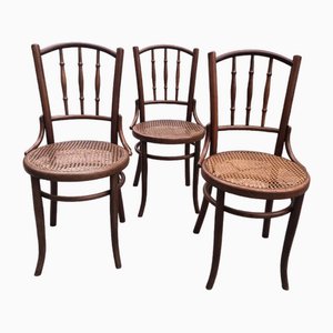 Chaises de Café Viennois en Bois Courbé de Fischel, 1920s, Set de 3