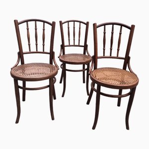 Viennese Coffee House Chairs in Bentwood from Fischel, 1920s, Set of 3