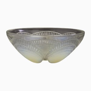 Large Art Deco Opalescent Shell Bowl by René Lalique, 1924