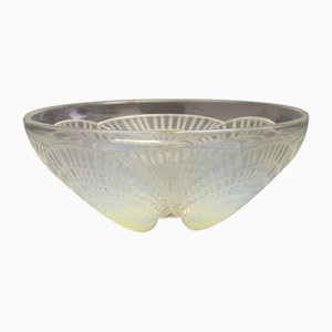 Large Art Deco Opalescent Shell Bowl by René Lalique, 1920s