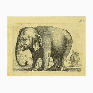 Antonio Tempesta, El elefante, grabado, década de 1610
