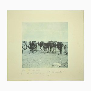 Bettino Craxi, Camels in the Tunisian Desert, Photolithograph, 1995