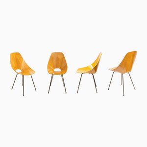Medea Chairs by Vittorio Nobili, Italy, 1955, Set of 4
