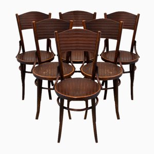 Vintage Bentwood Bistro Chairs from Fischel 1920s. Set of 6