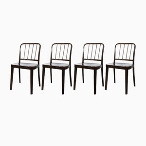 A 811/4 Chairs by Josef Hoffmann, 1930s, Set of 4