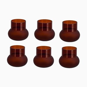 Dark Amber Glasses by Pulpo, Set of 6