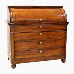 Charles X Chest in Walnut with Flap Top, Italy, 19th Century