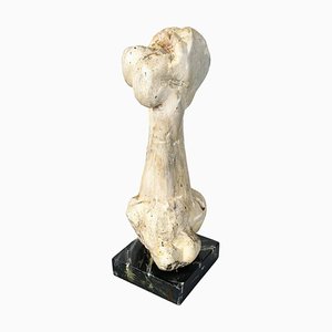 Italian Modern Wooden Sculpture of a Bone by N. F. Puccio, 1990s