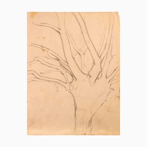 Reynold Arnould, Tree, 1970s, Drawing