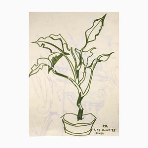 Reynold Arnould, Plant, 1975, Drawing