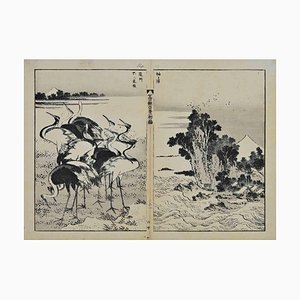 Katsushika Hokusai, principios del siglo XIX, Pring grabado en madera