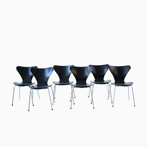 Sedie della serie 7 di Arne Jacobsen per Fritz Hansen, 1955, set di 6