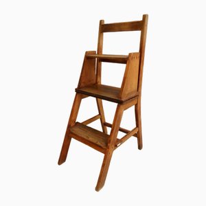 Antique Library Ladder, 1890s