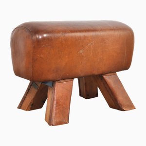 Vintage Leather Gymnastic Horse or Foot Stool, 1930s