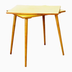 Table Basse en Chêne et Plastique