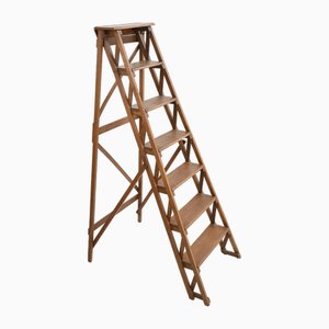 Vintage Stepladder in Wood