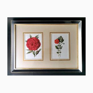 English Artist, Flowers, Chromolithographic Print Diptych, Framed