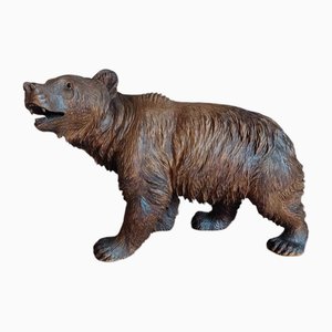 Orso della Foresta Nera, metà XIX secolo