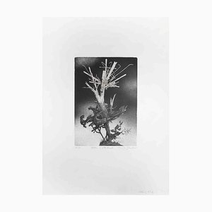 Leo Guida, The Tree at Villa, Etching, 1970s