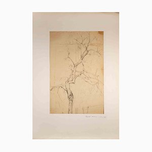 Reynold Arnould, Arbre, Dessin au crayon, Milieu du 20e siècle