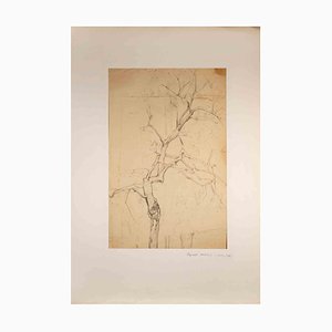 Reynold Arnould, Baum, Bleistiftzeichnung, Mitte des 20. Jahrhunderts