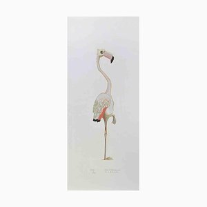 Alberto Mastroianni, Flamingo, Litografía, años 70