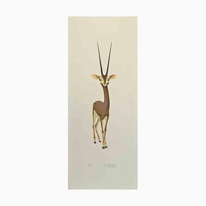 Alberto Mastroianni, Gazelle, Lithographie, 1970er