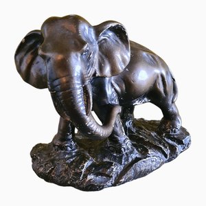 French Plaster African Elephant, 1950s
