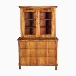 Biedermeier Walnut Chest of Drawers with Showcase Top, 1830s