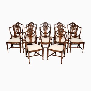 Chaises de Salle à Manger à Dossier Bouclier, 1950s, Set de 12