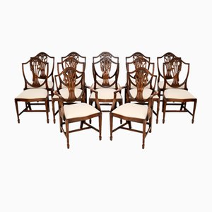 Shield Back Dining Chairs, 1950s, Set of 12