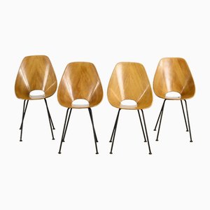 Model Medea Chairs by Vittorio Nobili for Fratelli Tagliabue, 1954, Set of 4